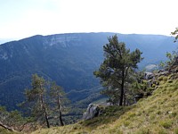 Vue sur les gorges