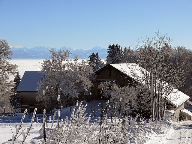 Une ferme  La Tourne