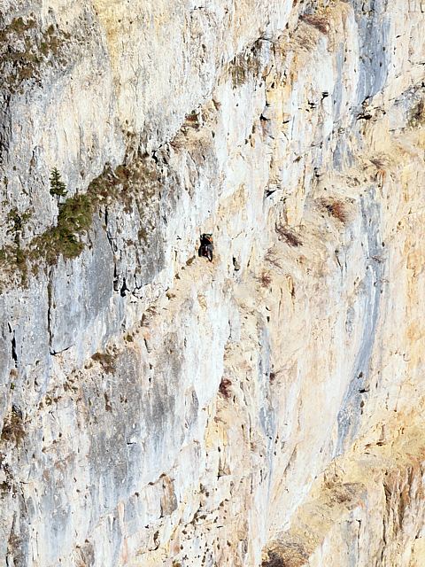Varape au Creux du Van