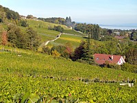 Vignoble de Boudry