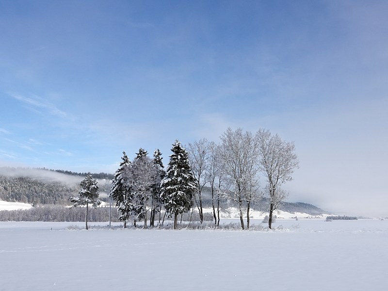 Vall�e de la Sagne, Marmoud