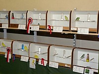 Exposition d'oiseaux
