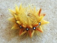Chenille de la noctuelle de l'érable