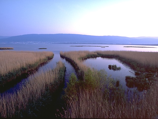 Les les du Bas-Lac