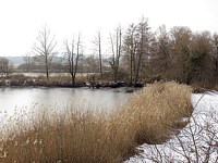 Etang au Fanel