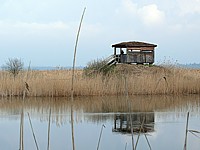 Observatoire du Fanel