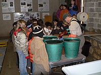 A la pisciculture de Colombier