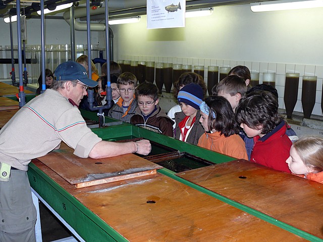 La pisciculture de Colombier