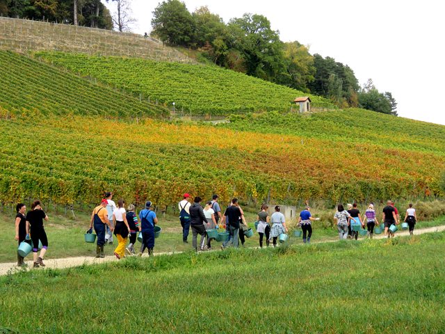 En route pour les vendanges