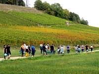 Départ pour les vendanges