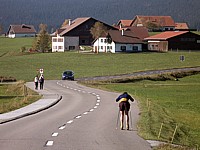 Ski de fond aux Taillères