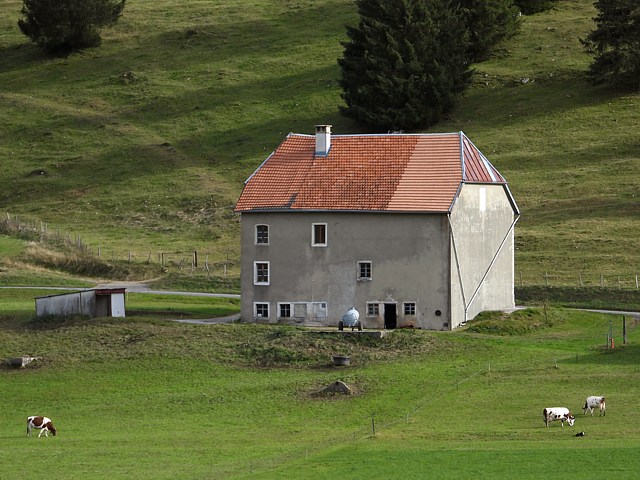 Ferme aux Taillres