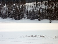 lac des Taillères sous la neige