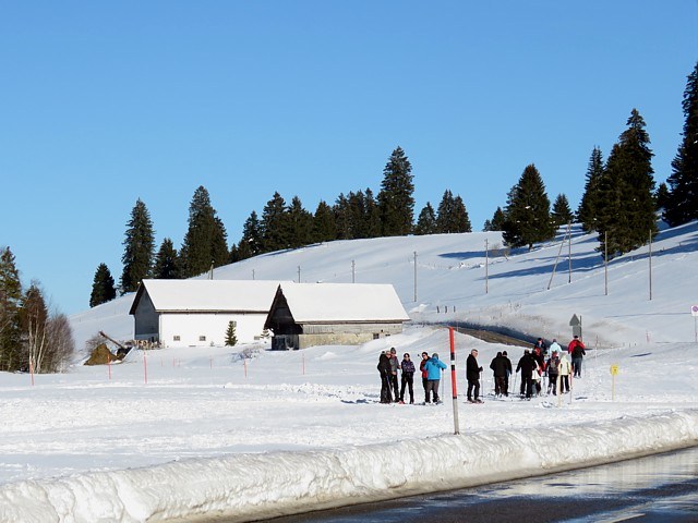 Ski de fond aux Taillres