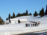 Ski de fond aux Taillères