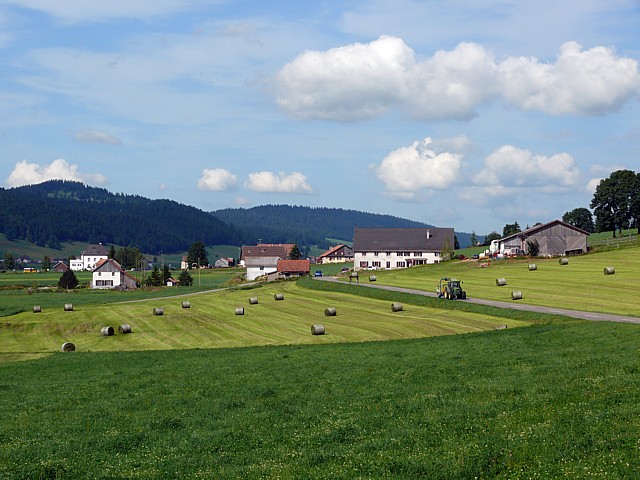 Brot-Plamboz