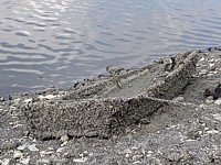 Barque couverte de moules