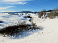 Pont sur le Bied