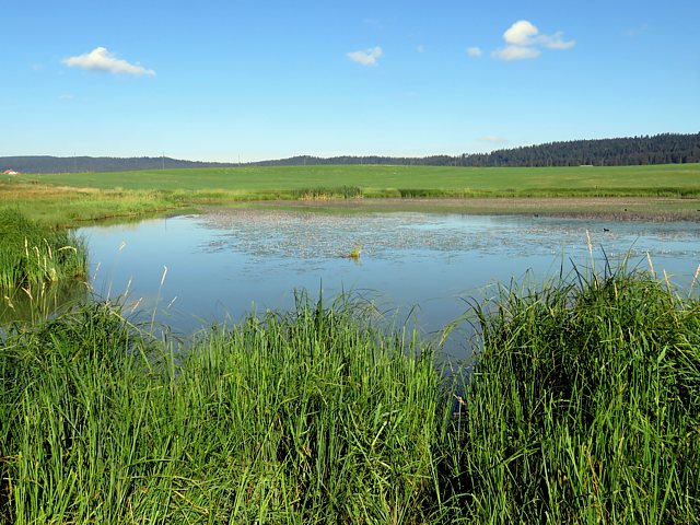 L'ouest du lac des Taillres