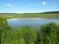 Partie ouest du lac des Taillères