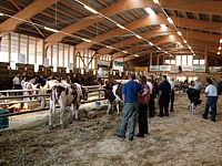 Marché-concours de taureaux aux Ponts-de-Martel