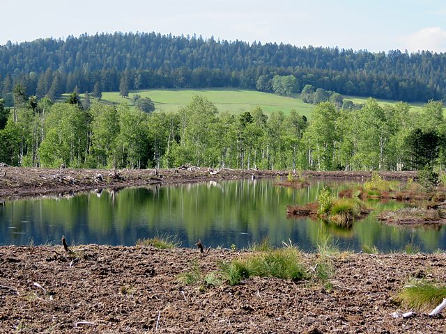 Etang de tourbire nouvellement cr