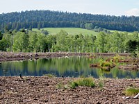 Etang nouvellement créé