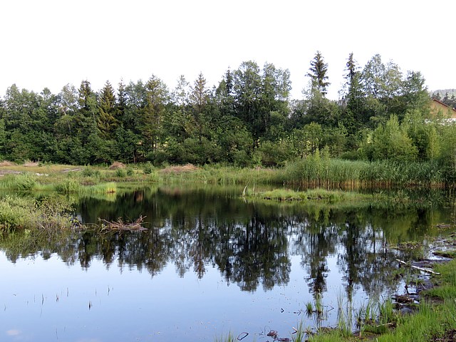 Etang de tourbire nouvellement cr