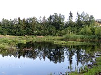 Etang du Bois des Lattes