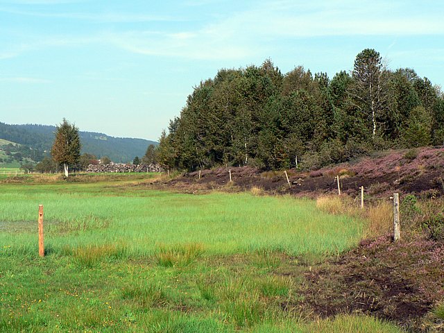Tourbires de la valle des Ponts