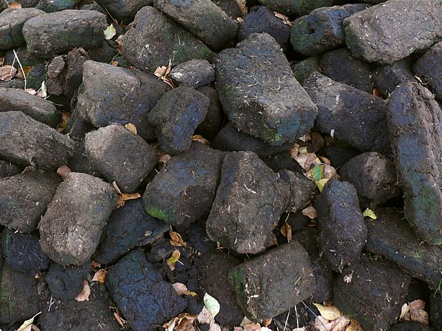 Briquettes de tourbe