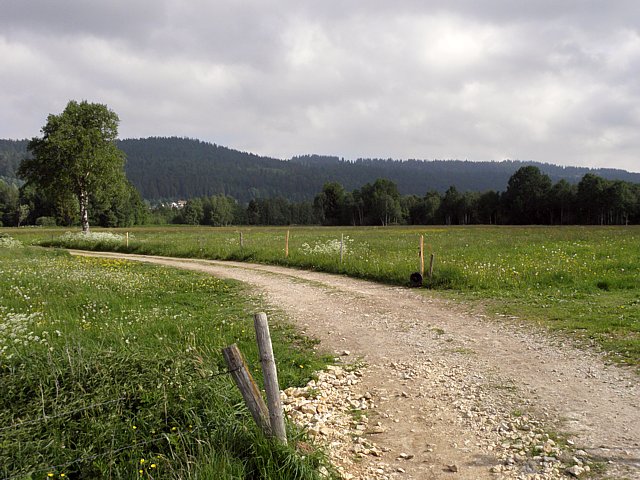 Chemin dans la valle des Ponts