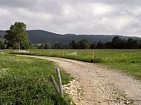 Chemin dans la vallée des Ponts