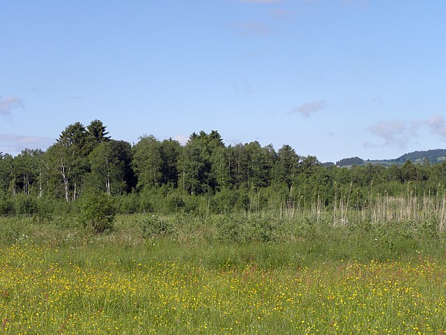 Les tourbires