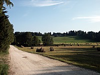 Saison des foins dans la vallée des Ponts