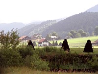 Pyramides de tourbe dans la vallée des Ponts