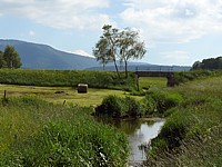 Le Bied sous la route cantonale