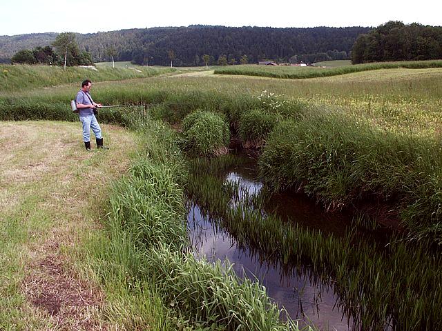 Pche dans le Bied