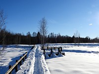 Chemin des tourbières