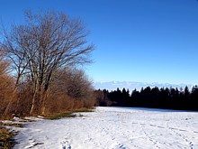 Sur les hauteurs de Chaumont