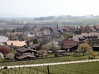 Cornaux entre vignes et jardins