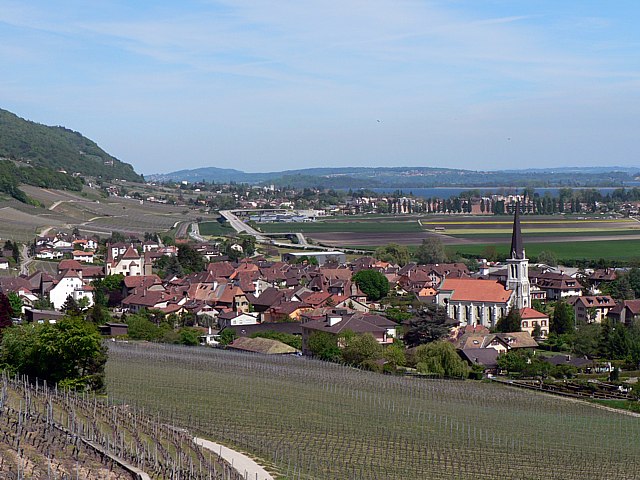 Cressier et son vignoble