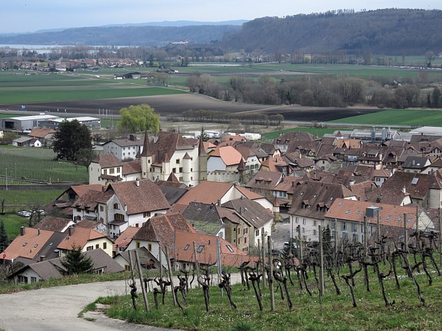 Cressier vu du vignoble