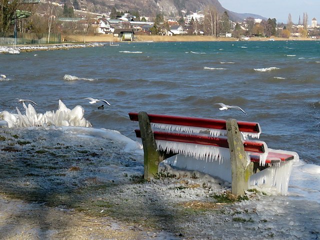 Banc gelé au Landeron