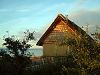 La hutte lacustre d'Hauterive