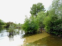 Chemin sous l'eau