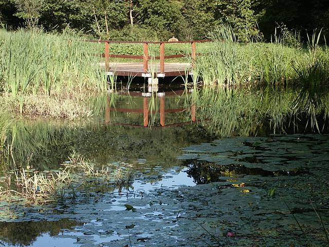 L'tang du jardin botanique de Neuchtel