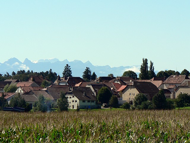 Lignires