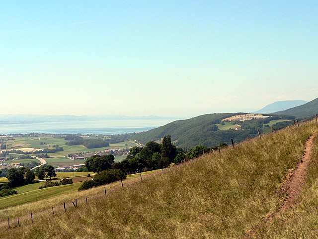 Les Mayes