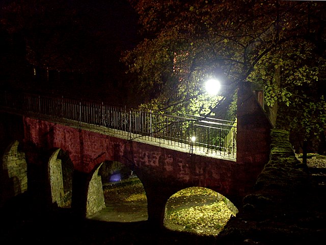 La passerelle du chteau de Neuchtel